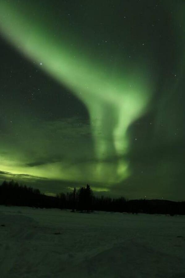 The Airport Chalet Fairbanks Esterno foto